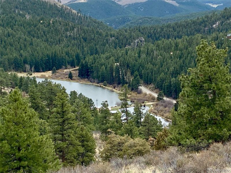 Fishing Ponds Fishing Ponds