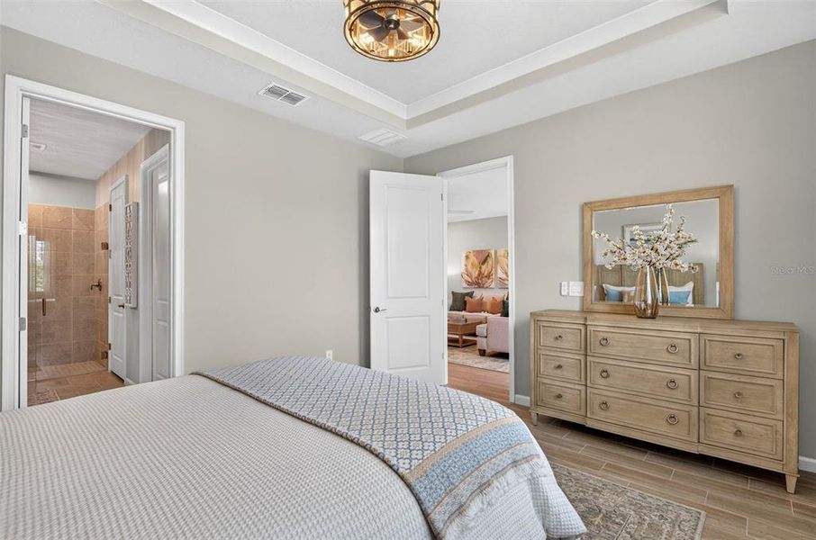 Furnished interior view inside a new home in The Preserve at La Paloma, Sun City Center (Image 34).