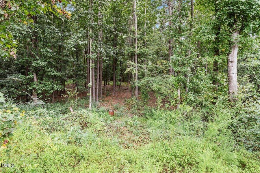 11-12471 Selma Rd [2521176]_11