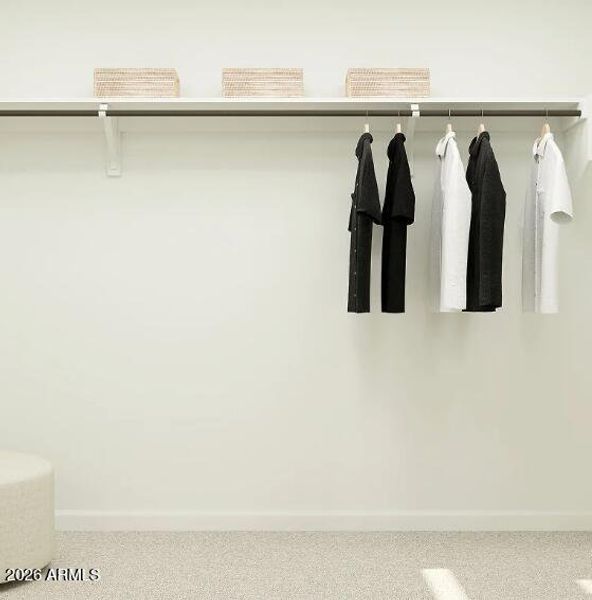 Owners Walk in Closet