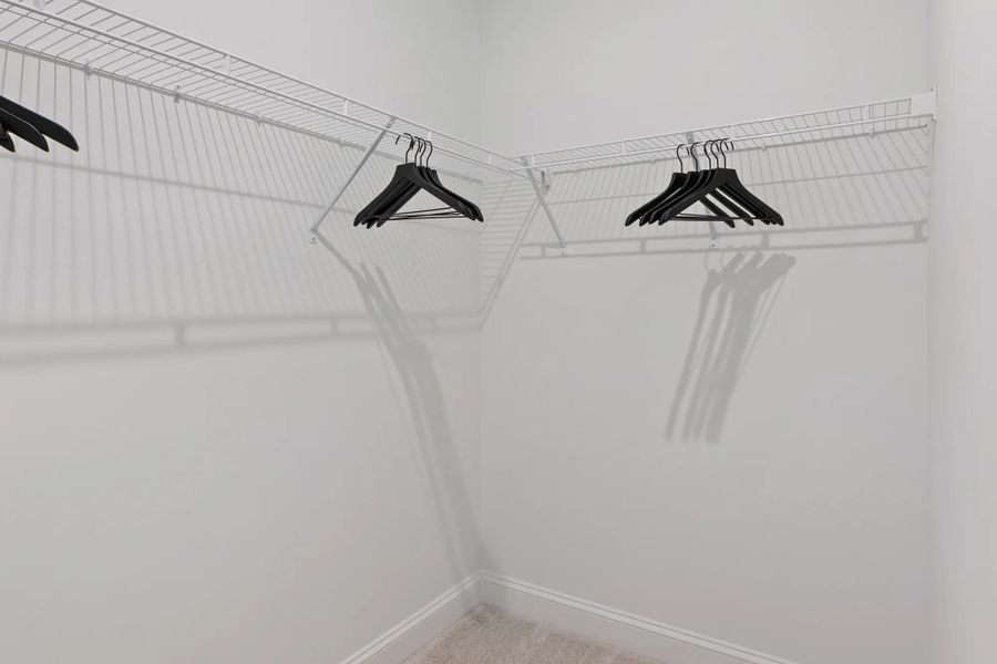 The Grace Primary Closet The Grace Primary Closet