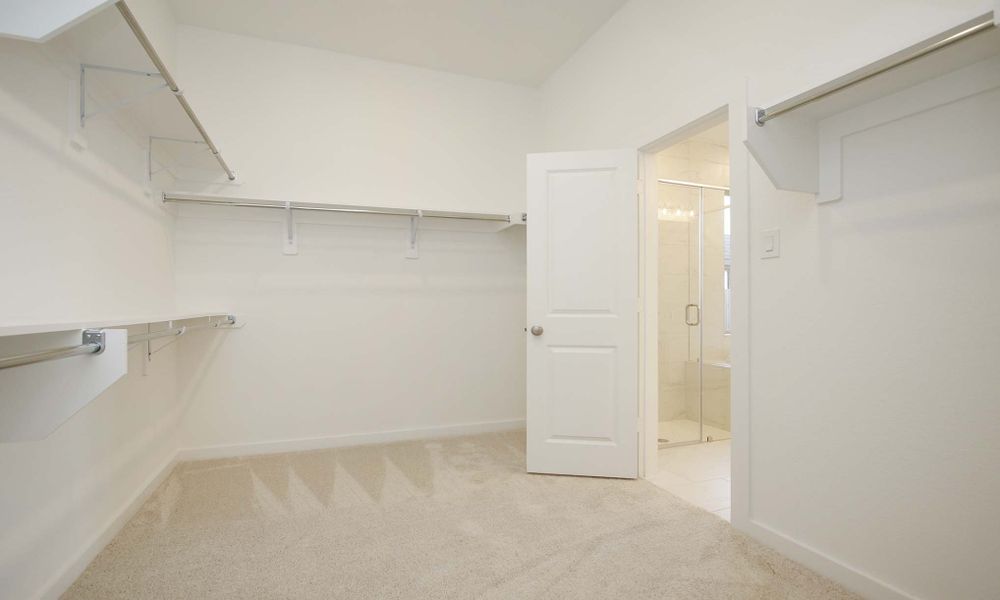 Representative Primary Closet - some options shown
