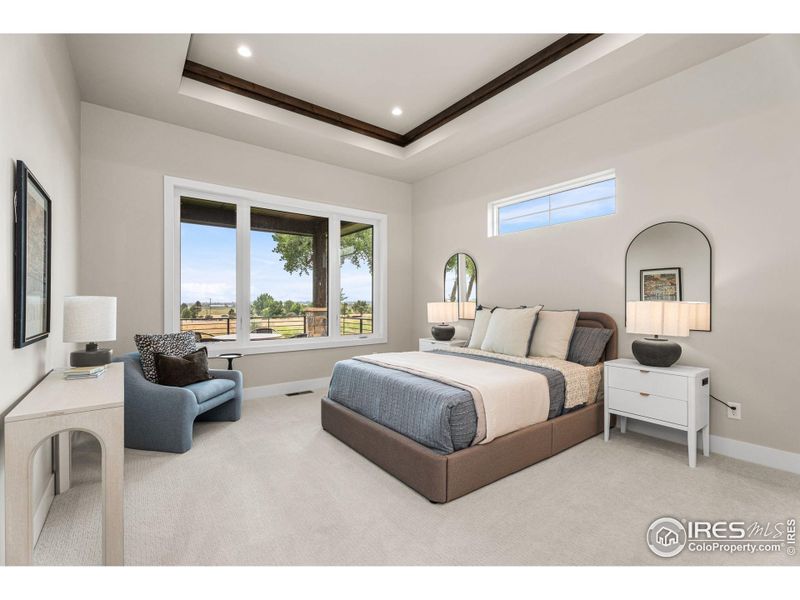 Primary Suite with tray ceiling
