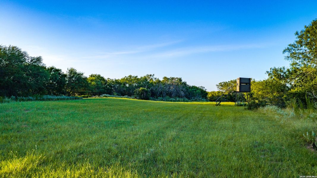 Natural landscape and outdoor views near  in Runge (Image 35).