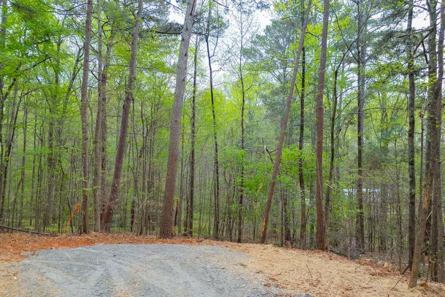 Natural landscape and outdoor views near in Cumming (Image 7). Natural landscape and outdoor views near in Cumming (Image 7).
