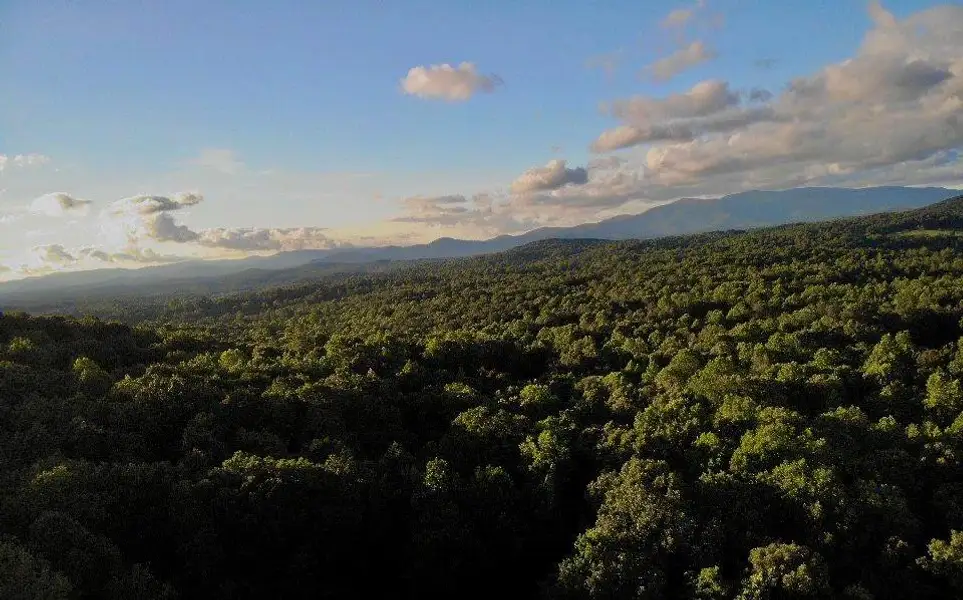 Natural landscape and outdoor views near  in Ellijay (Image 6).
