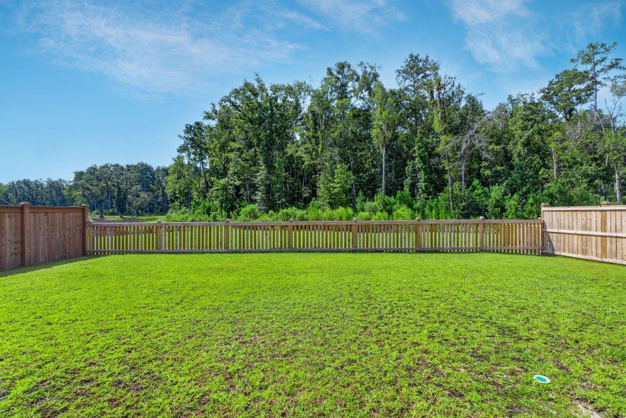 Exterior details and patio area of a home in Sweetgrass at Summers Corner, Summerville (Image 31).