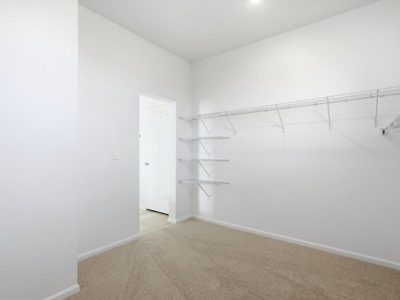 Spacious, unfurnished interior of a new home in Poudre Heights: The Alpine Collection, Windsor (Image 14).