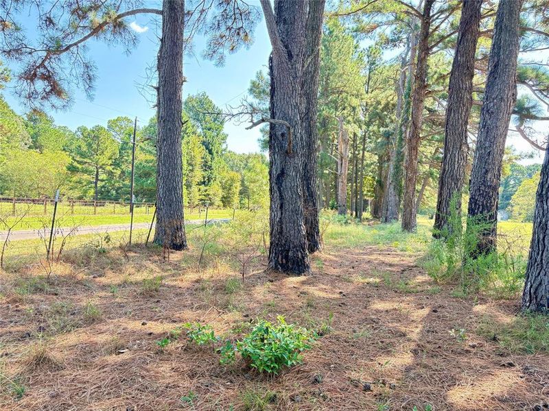 Natural landscape and outdoor views near  in Canton (Image 20).