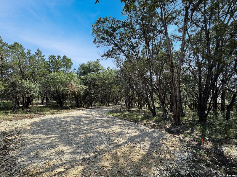 Natural landscape and outdoor views near  in Canyon Lake (Image 28).