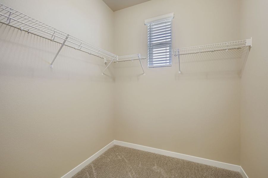 New Home in Fort Collins, CO.  - Slide 20