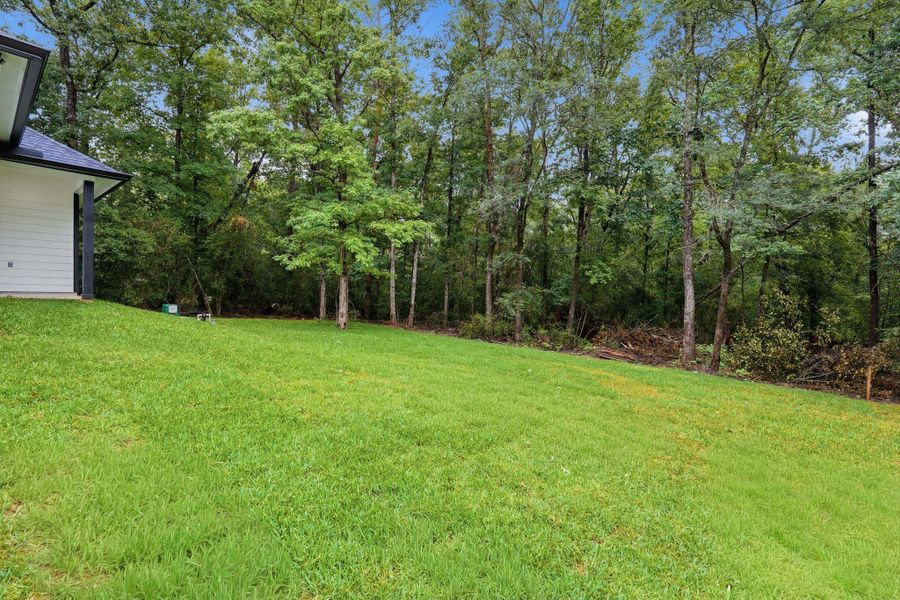 Natural landscape and outdoor views near  in Willis (Image 34).
