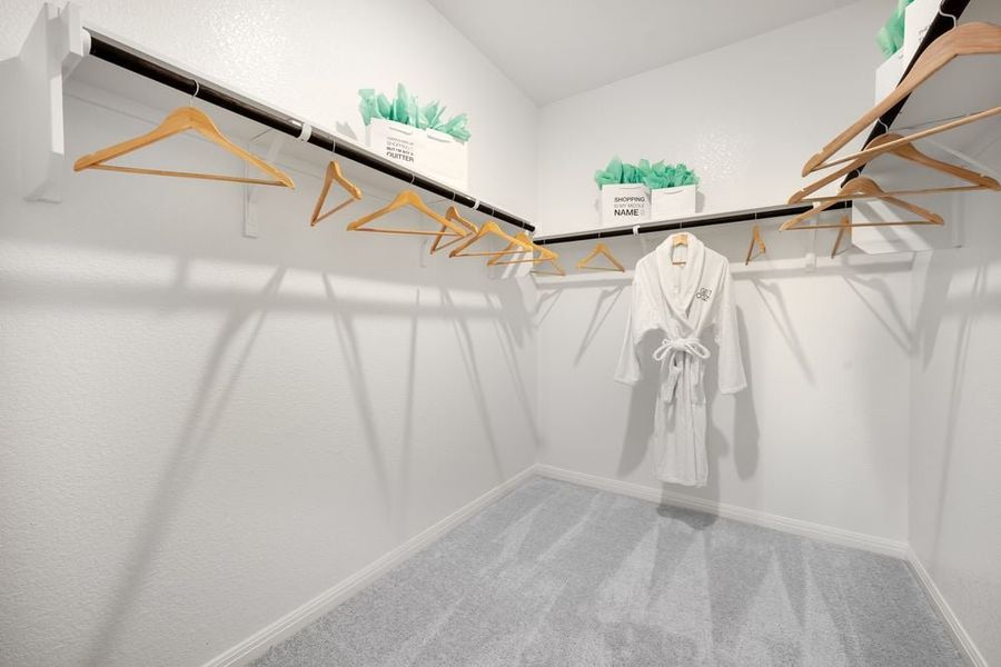 Image 25 representing the Hawk by Taylor Morrison in Longview 40s, Del Valle, TX.