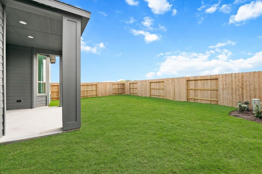 Backyard