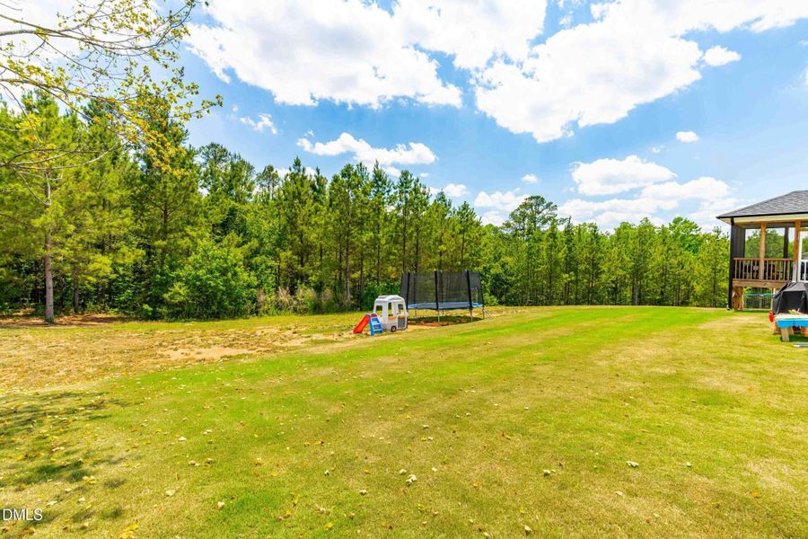 Backyard Backyard