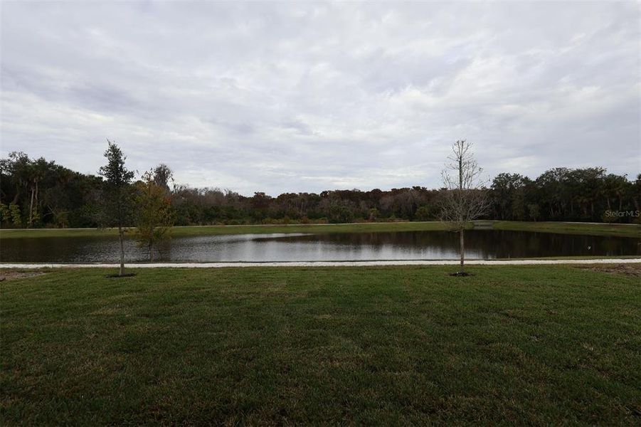 Natural landscape and outdoor views near Estates at Rivercrest in Sanford (Image 20). Natural landscape and outdoor views near Estates at Rivercrest in Sanford (Image 20).