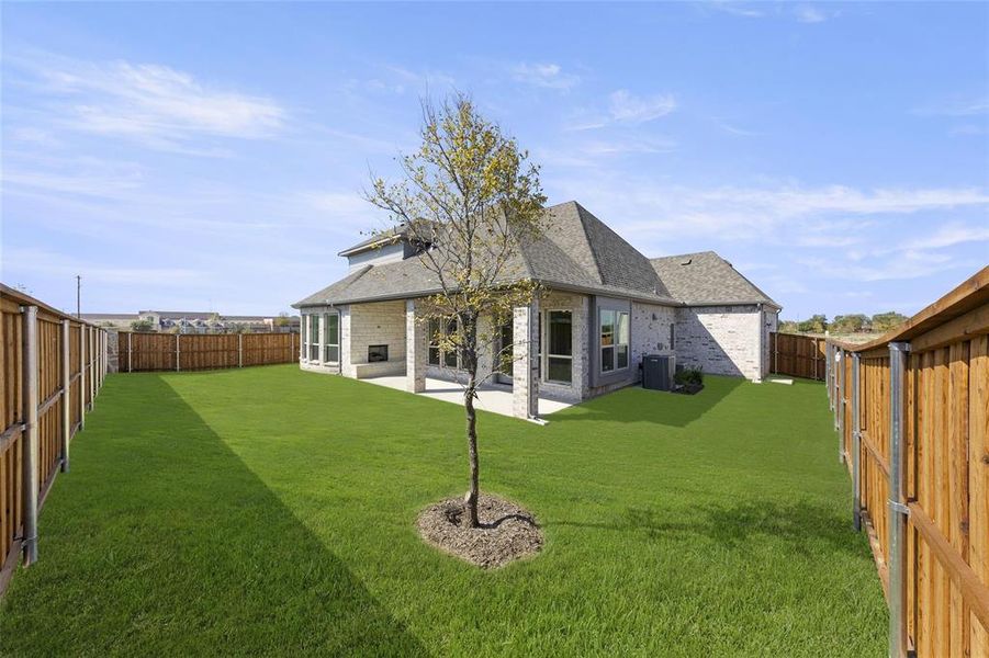 2003 Stratford Back 2 2003 Stratford Back 2