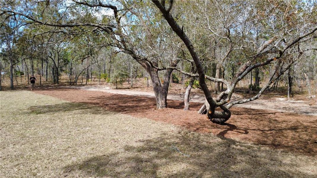 Natural landscape and outdoor views near  in Dunnellon (Image 22).
