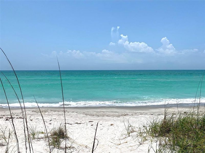 Natural landscape and outdoor views near  in Longboat Key (Image 73).