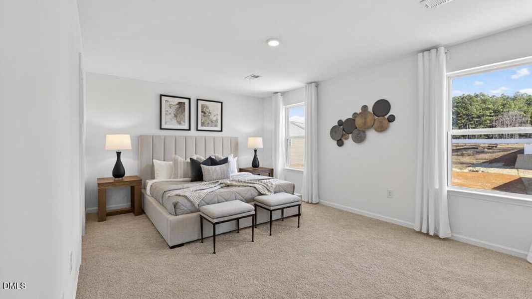 229 Palomino Wy-19 229 Palomino Wy-19