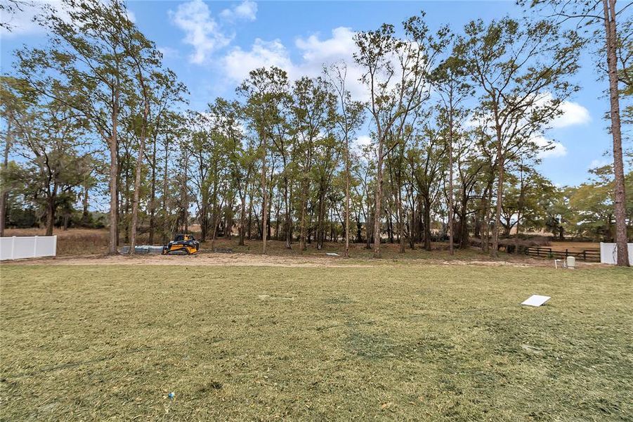 Natural landscape and outdoor views near in Ocala (Image 45). Natural landscape and outdoor views near in Ocala (Image 45).