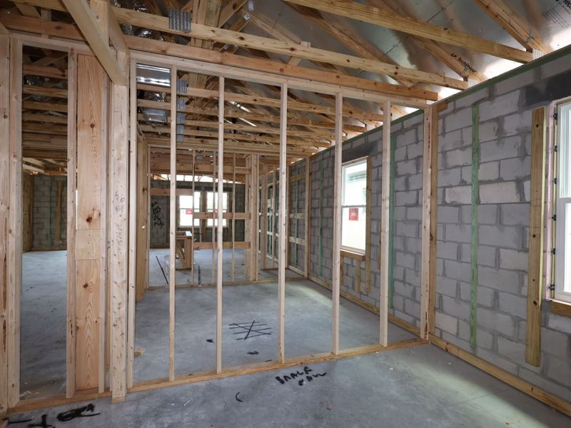 Framing Framing