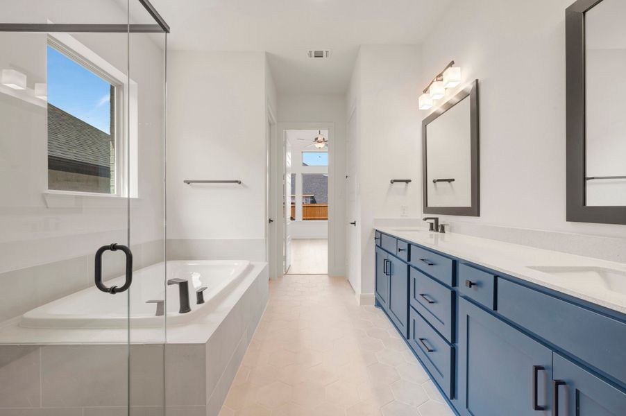 Owner's Bath