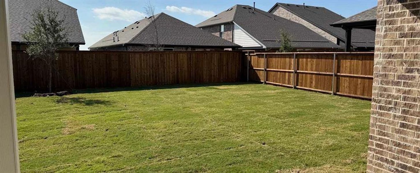 Backyard Construction Progress Backyard Construction Progress