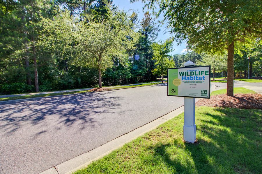 Front exterior of a new home in , Summerville, SC, highlighting curb appeal (Image 42). Front exterior of a new home in , Summerville, SC, highlighting curb appeal (Image 42).