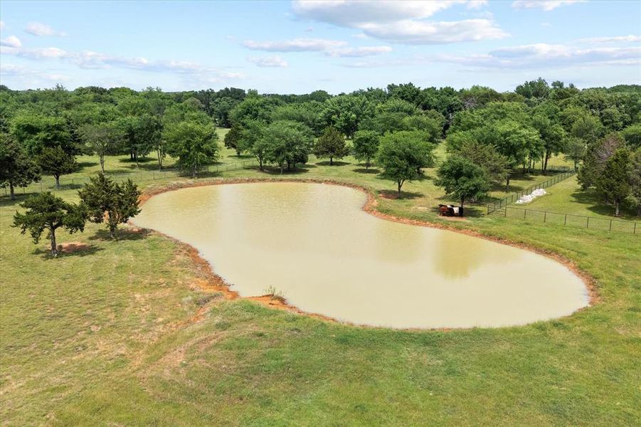 Natural landscape and outdoor views near  in Pilot Point (Image 22).