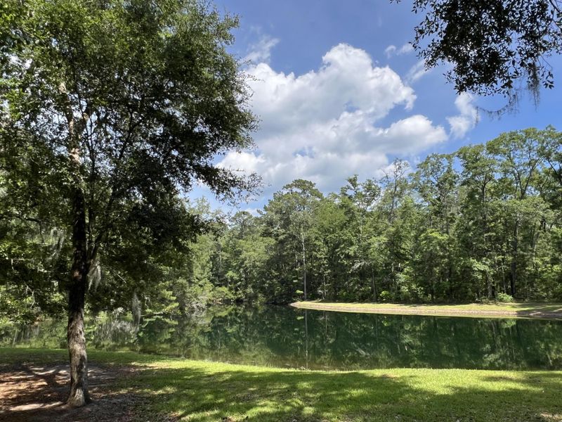 Natural landscape and outdoor views near in Seabrook (Image 93). Natural landscape and outdoor views near in Seabrook (Image 93).