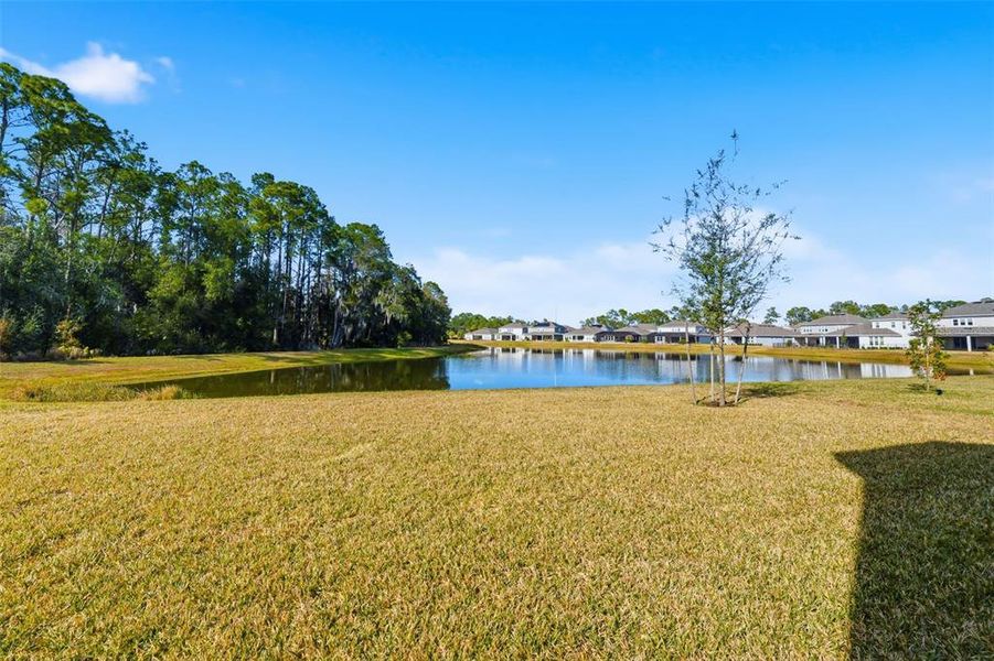 Natural landscape and outdoor views near in Wesley Chapel (Image 35). Natural landscape and outdoor views near in Wesley Chapel (Image 35).