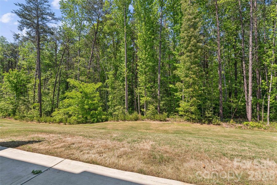 Natural landscape and outdoor views near  in Sherrills Ford (Image 36).