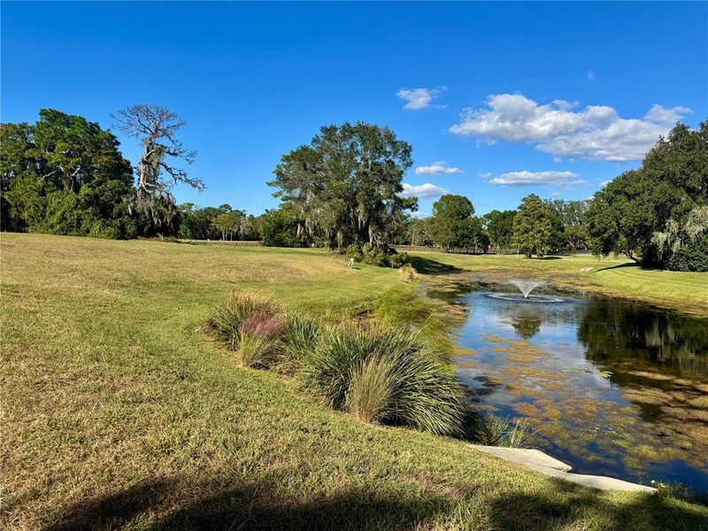 Natural landscape and outdoor views near in Tarpon Springs (Image 18). Natural landscape and outdoor views near in Tarpon Springs (Image 18).