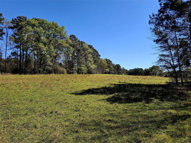 Natural landscape and outdoor views near  in Jacksonville (Image 5).