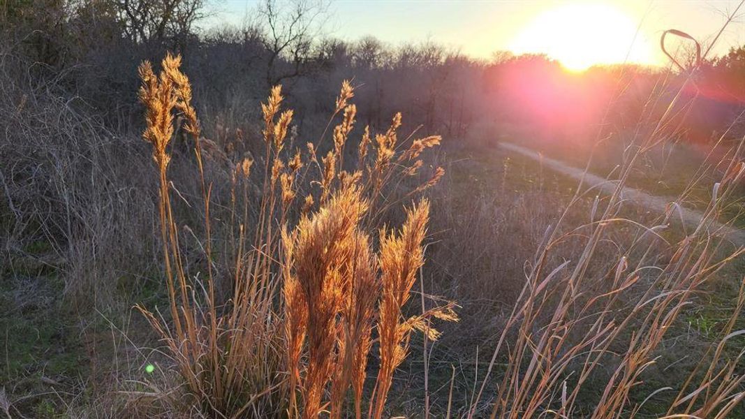 Onion Creek Park