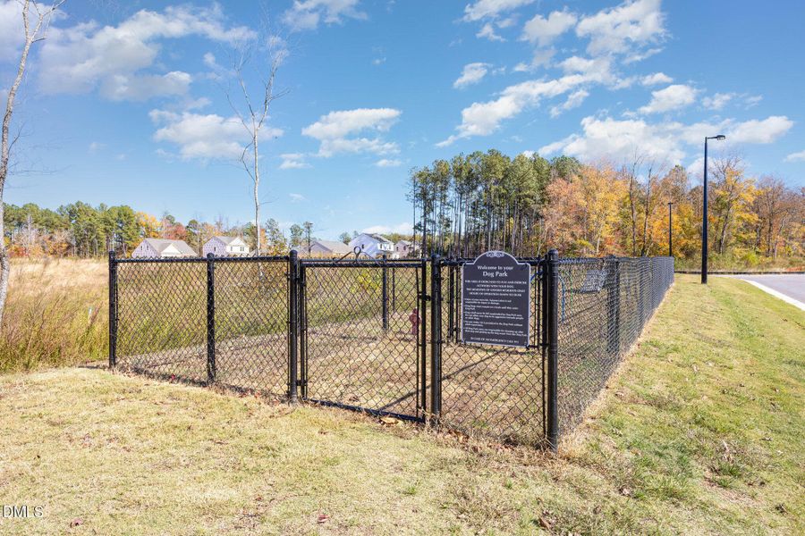 032_img_0086-edit_12