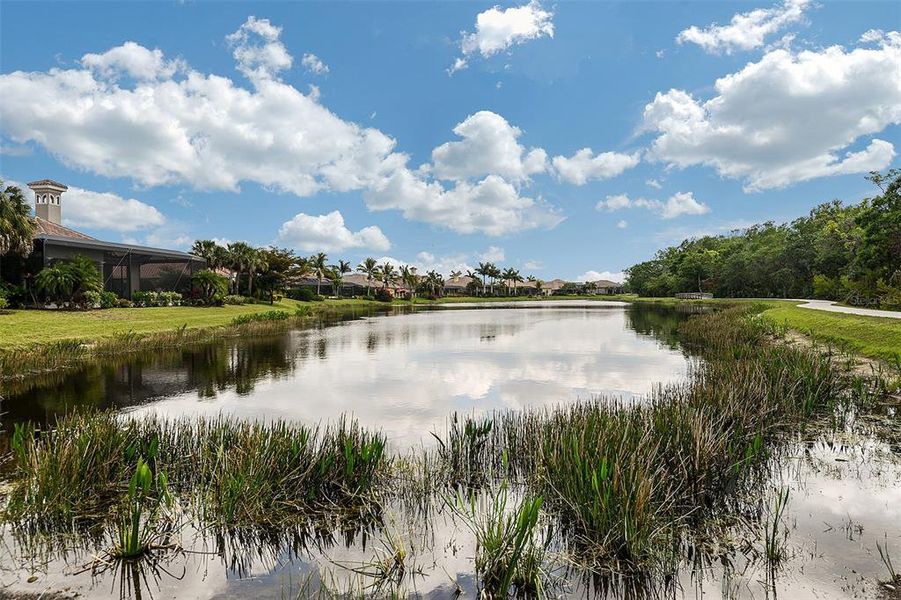 Natural landscape and outdoor views near Verandah in Fort Myers (Image 38). Natural landscape and outdoor views near Verandah in Fort Myers (Image 38).