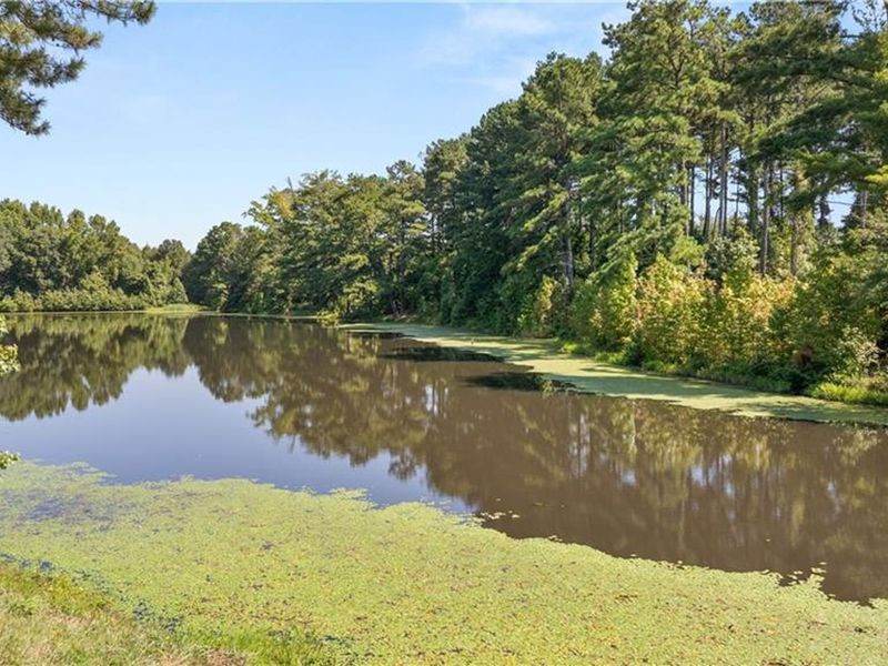 Natural landscape and outdoor views near Lake Shore in Winder (Image 32). Natural landscape and outdoor views near Lake Shore in Winder (Image 32).
