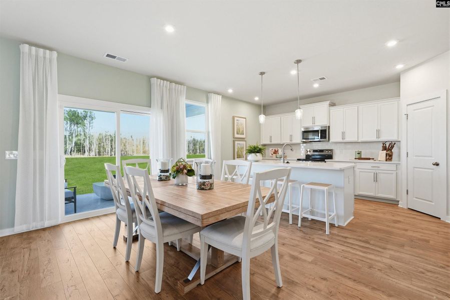 Furnished interior view inside a new home in Boykin Hills, Chapin (Image 11).