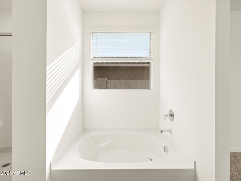 Primary Ensuite Tub