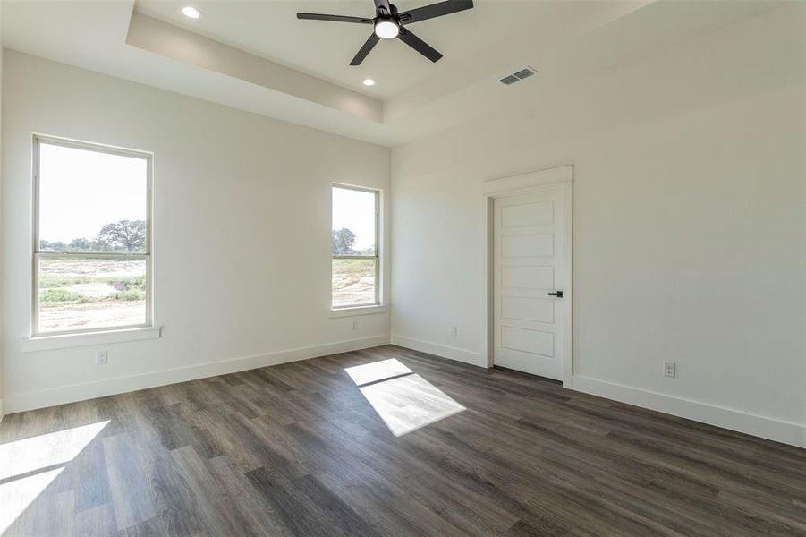 Spare room with a raised ceiling, dark wood-type flooring, ceiling fan, and plenty of natural light