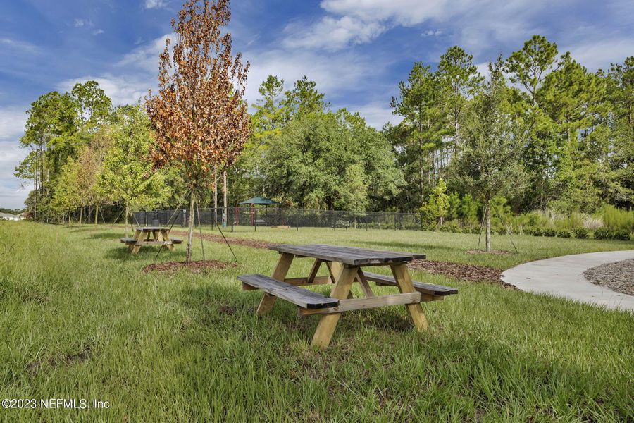 Natural landscape and outdoor views near Double Branch in Middleburg (Image 25). Natural landscape and outdoor views near Double Branch in Middleburg (Image 25).