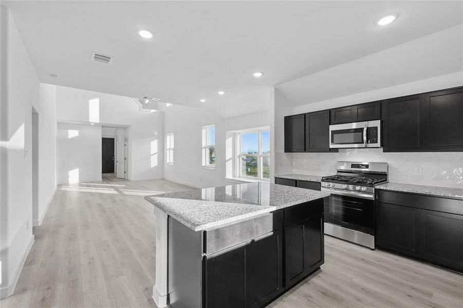 Kitchen with dark cabinets, stainless steel appliances, light wood-style floors, open floor plan, and recessed lighting