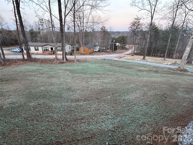 Newly Hydro Seeded Yard