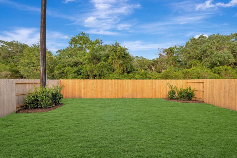 Backyard Backyard