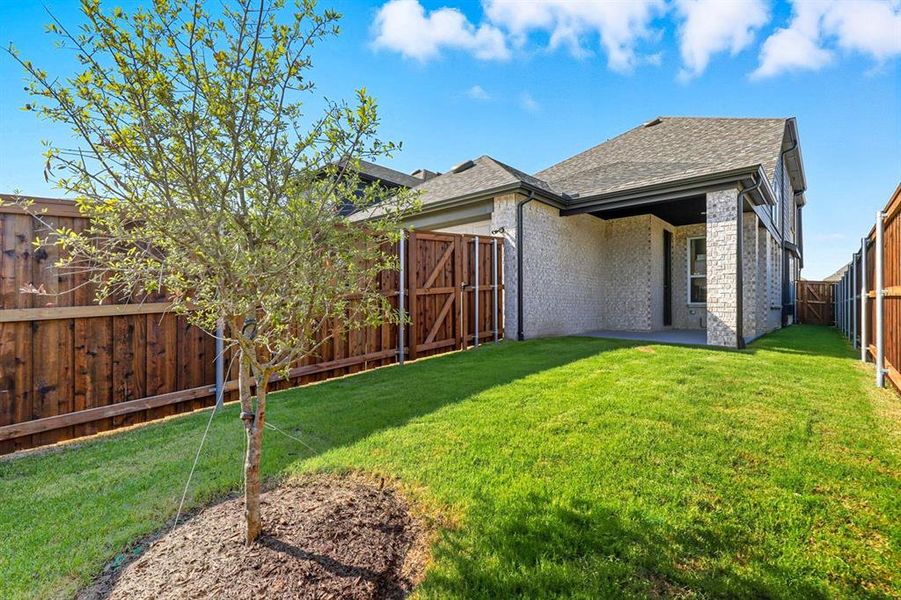 Front exterior of a new home in Wellington: 40ft. lots, Haslet, TX, highlighting curb appeal (Image 1).