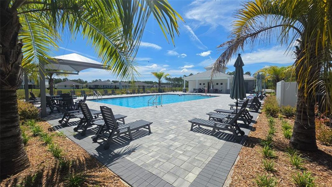 Community amenities in , Palm Coast (Image 24). Community amenities in , Palm Coast (Image 24).