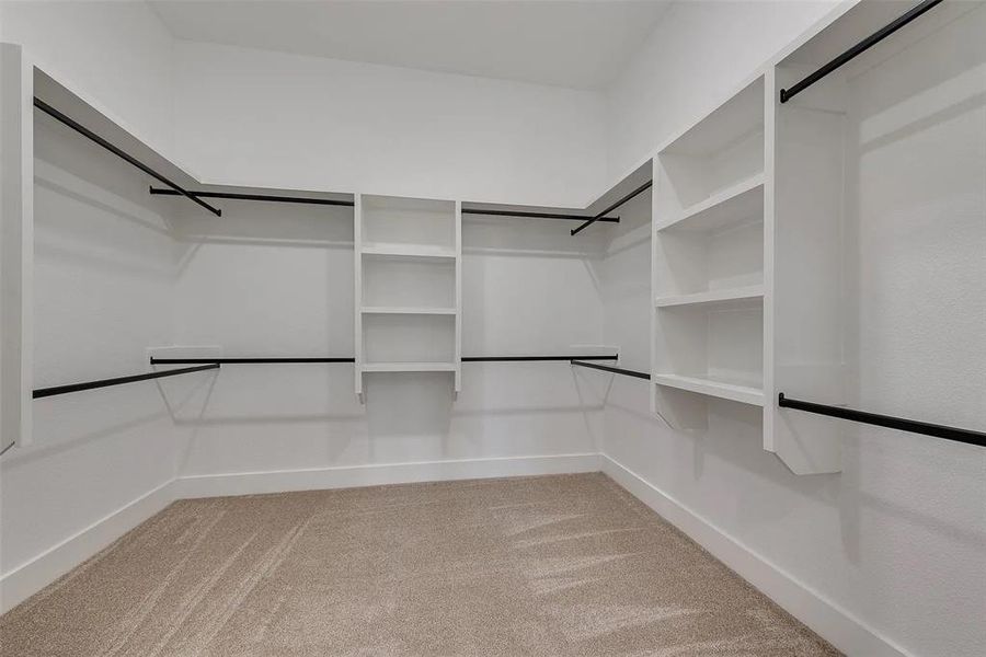 Walk in closet featuring light colored carpet