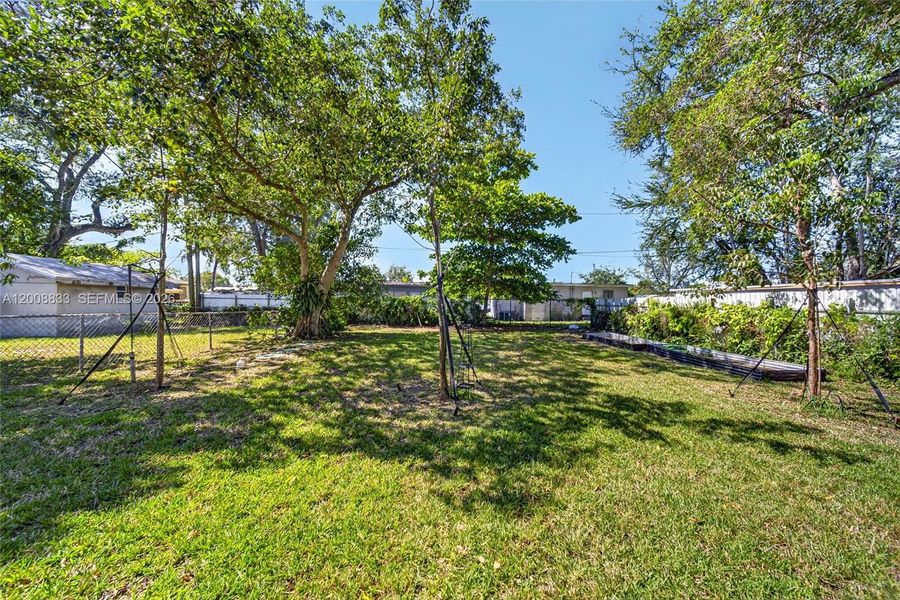 Natural landscape and outdoor views near  in Miami (Image 31).